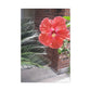 Art Prints & Wall Art, Gallery Canvas with Peach Hibiscus Flower