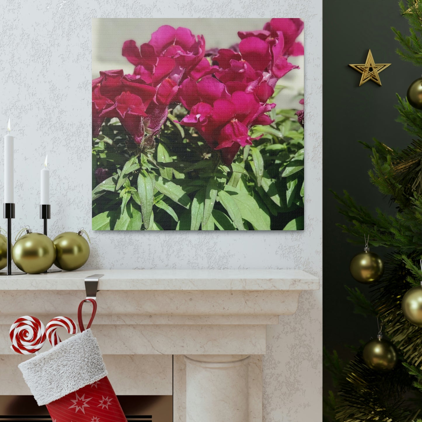 Magenta Snapdragon | Wall Art Canvas | High Bloom Collection | Life By Ortavia