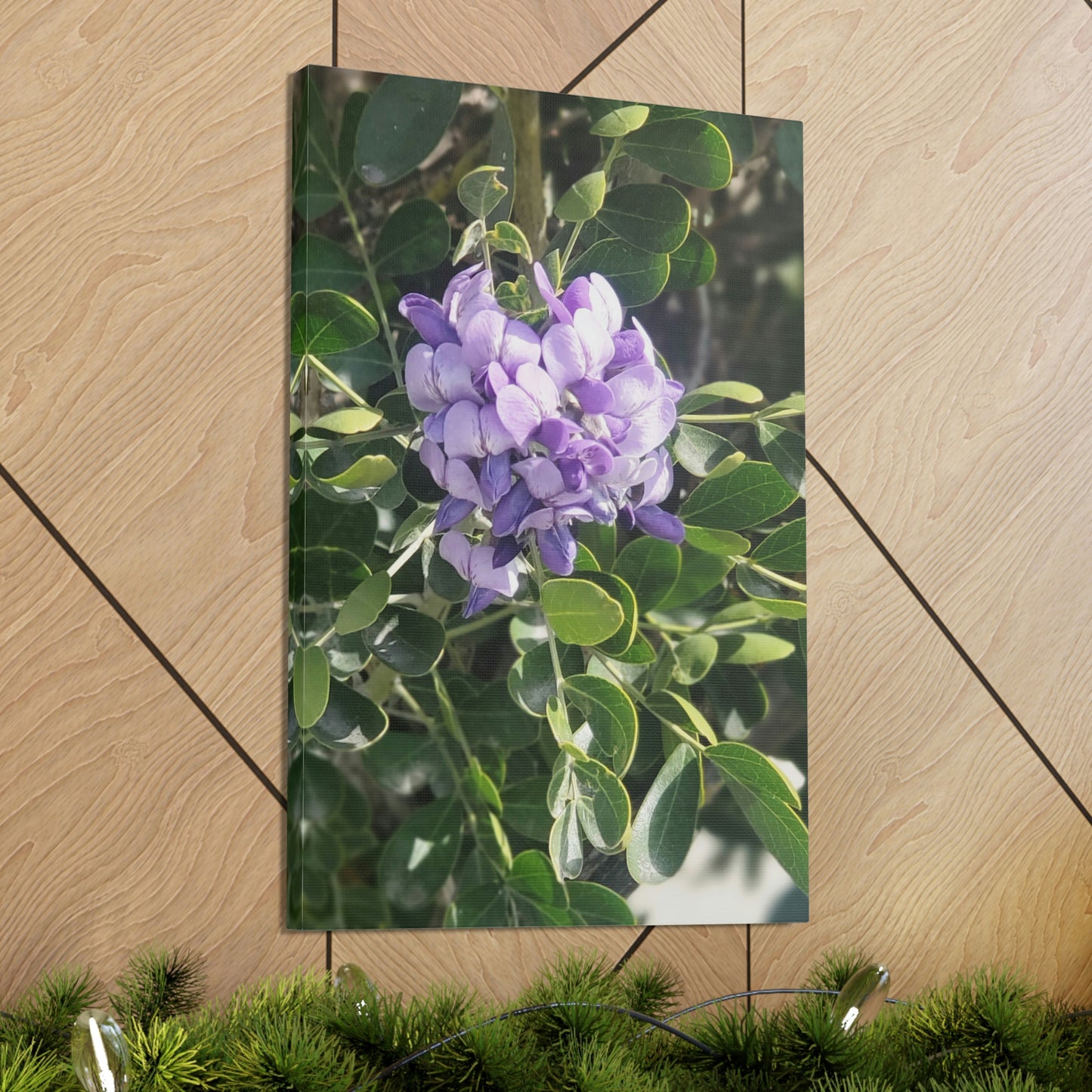 Purple Texas Mountain Laurel | Wall Art Canvas