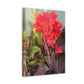 Red Canna | High Bloom Collection | Wall Art Print | Life By Ortavia