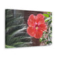 Art Prints & Wall Art, Gallery Canvas with Peach Hibiscus Flower