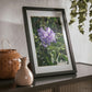 Framed Posters, Black