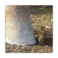 Squirrel and A Nut | Wall Art Print | Urban Geographic Collection | Life By Ortavia