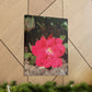 Knockout | Wall Art Print | High Bloom Collection | Life By Ortavia