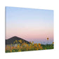 Sunflowers and a Rainbow Sky Canvas Gallery Wraps