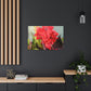 Red Canna | High Bloom Collection | Wall Art Print | Life By Ortavia