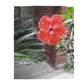 Velveteen Plush Blanket with Peach Hibiscus Flower Design