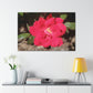 Knockout | Wall Art Print | High Bloom Collection | Life By Ortavia