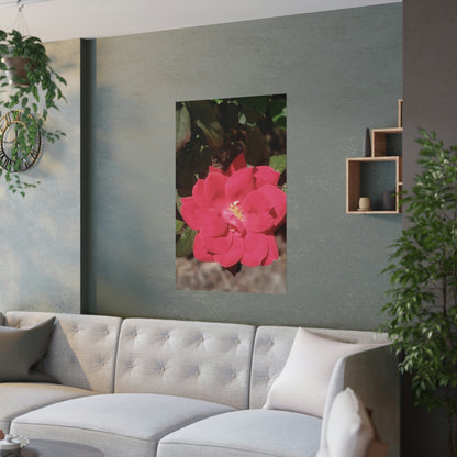 Knockout | Satin Posters (210gsm) | High Bloom Collection | Life By Ortavia