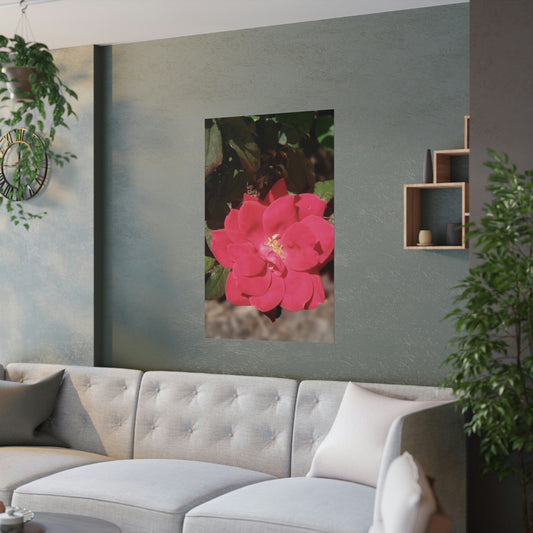 Knockout | Satin Posters (210gsm) | High Bloom Collection | Life By Ortavia