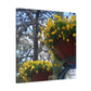 Yellow Pansies Downtown | Wall Art Canvas | High Bloom Collection | Life By Ortavia