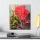 Red Canna | High Bloom Collection | Wall Art Print | Life By Ortavia