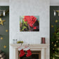 Red Canna | High Bloom Collection | Wall Art Print | Life By Ortavia