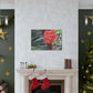 Art Prints & Wall Art, Gallery Canvas with Peach Hibiscus Flower