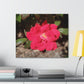 Knockout | Wall Art Print | High Bloom Collection | Life By Ortavia