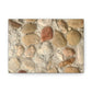 Big Gravel Sidewalk | Wall Art Print | Urban Geographic Collection | Life By Ortavia