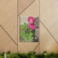 Dear Pink Rosa | High Bloom Collection | Canvas | Life By Ortavia