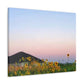 Sunflowers and a Rainbow Sky Canvas Gallery Wraps