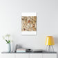 Big Gravel Sidewalk | Wall Art Print | Urban Geographic Collection | Life By Ortavia