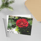 Europeana Red Rose Fine Art Postcards