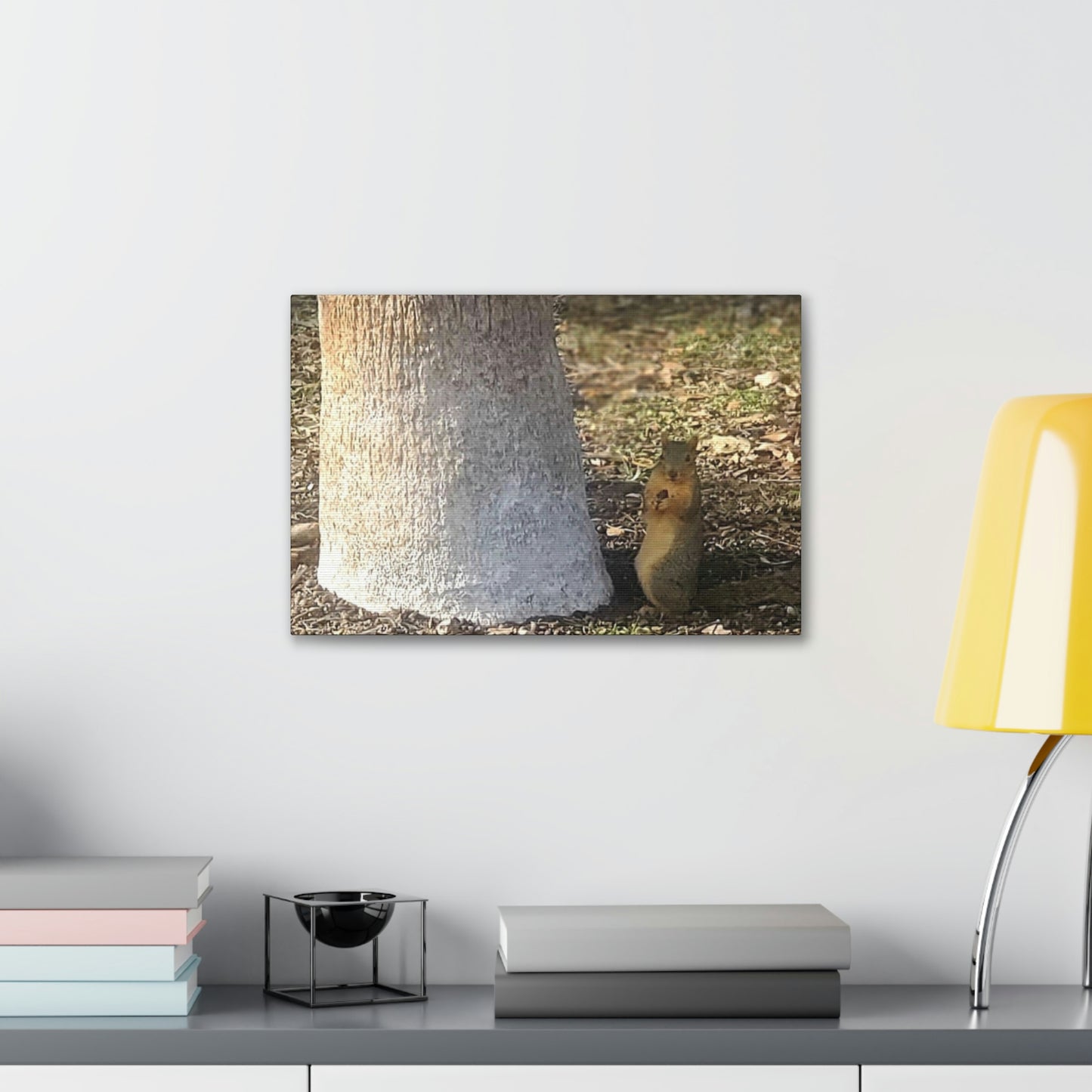 Squirrel and A Nut | Wall Art Print | Urban Geographic Collection | Life By Ortavia
