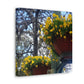 Yellow Pansies Downtown | Wall Art Canvas | High Bloom Collection | Life By Ortavia