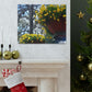 Yellow Pansies Downtown | Wall Art Canvas | High Bloom Collection | Life By Ortavia