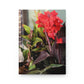 Red Canna | Hardcover Matte Journal | High Bloom Collection | Life By Ortavia