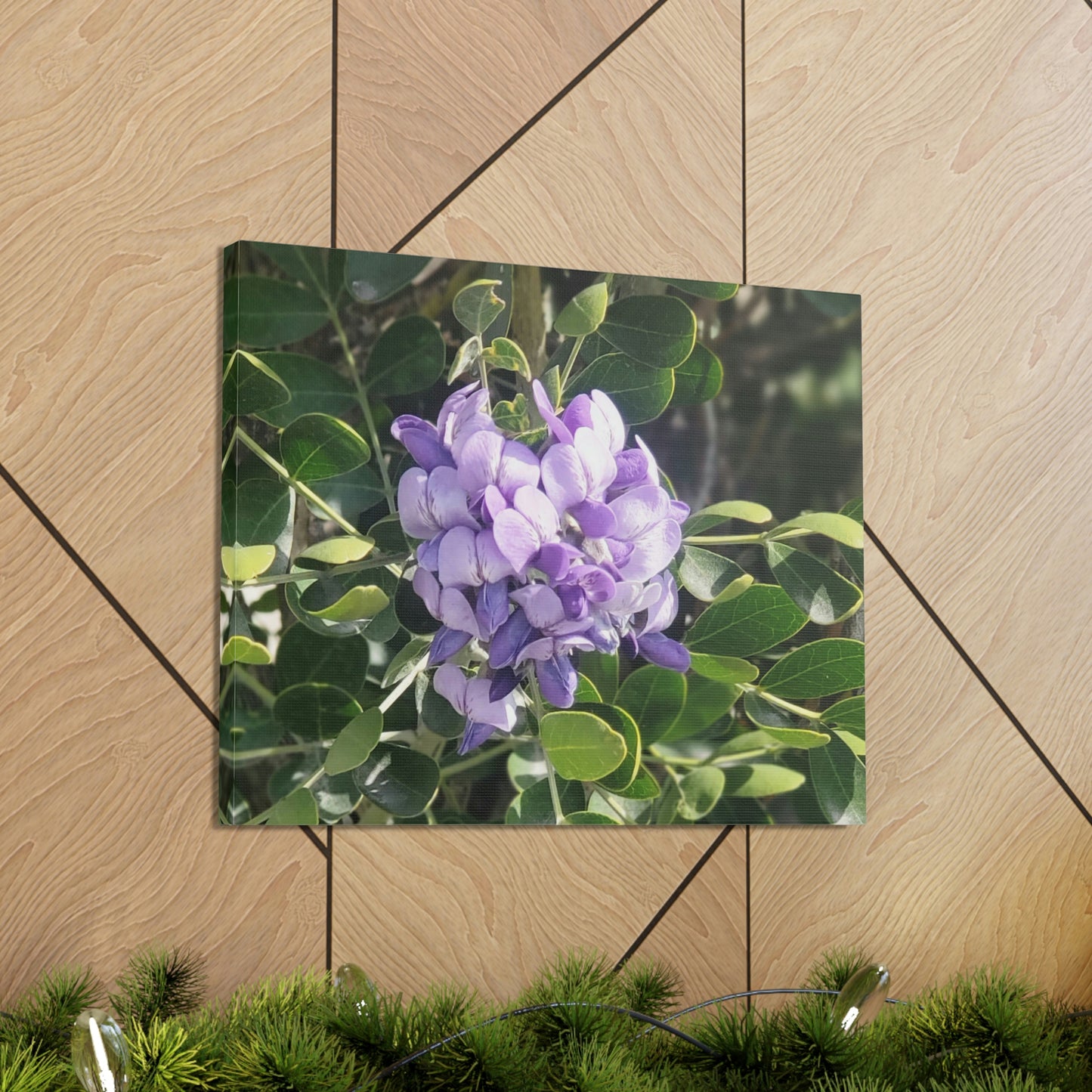 Purple Texas Mountain Laurel | Wall Art Canvas