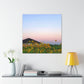 Sunflowers and a Rainbow Sky Canvas Gallery Wraps