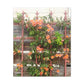 Flowers On A Rugged Fence | Wall Art Canvas | High Bloom Collection | Life By Ortavia