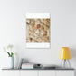 Big Gravel Sidewalk | Wall Art Print | Urban Geographic Collection | Life By Ortavia