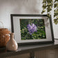 Framed Posters, Black