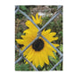 Cozy Velveteen Plush Throw Blanket with Sunflower Behind A Fence Design 30x40 50x60 60x80