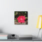 Knockout | Wall Art Print | High Bloom Collection | Life By Ortavia