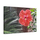 Art Prints & Wall Art, Gallery Canvas with Peach Hibiscus Flower