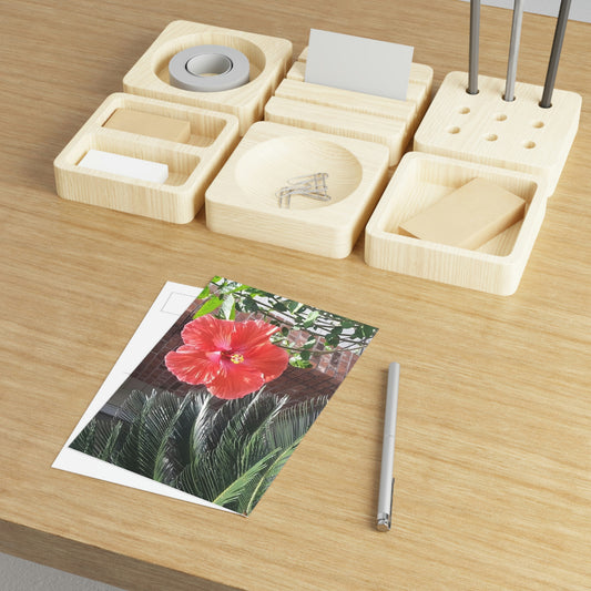 Peach Hibiscus Flower Fine Art Postcards
