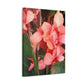 Art Prints & Wall Art, Canvas Gallery with Pink Canna Flower