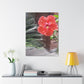 Art Prints & Wall Art, Gallery Canvas with Peach Hibiscus Flower
