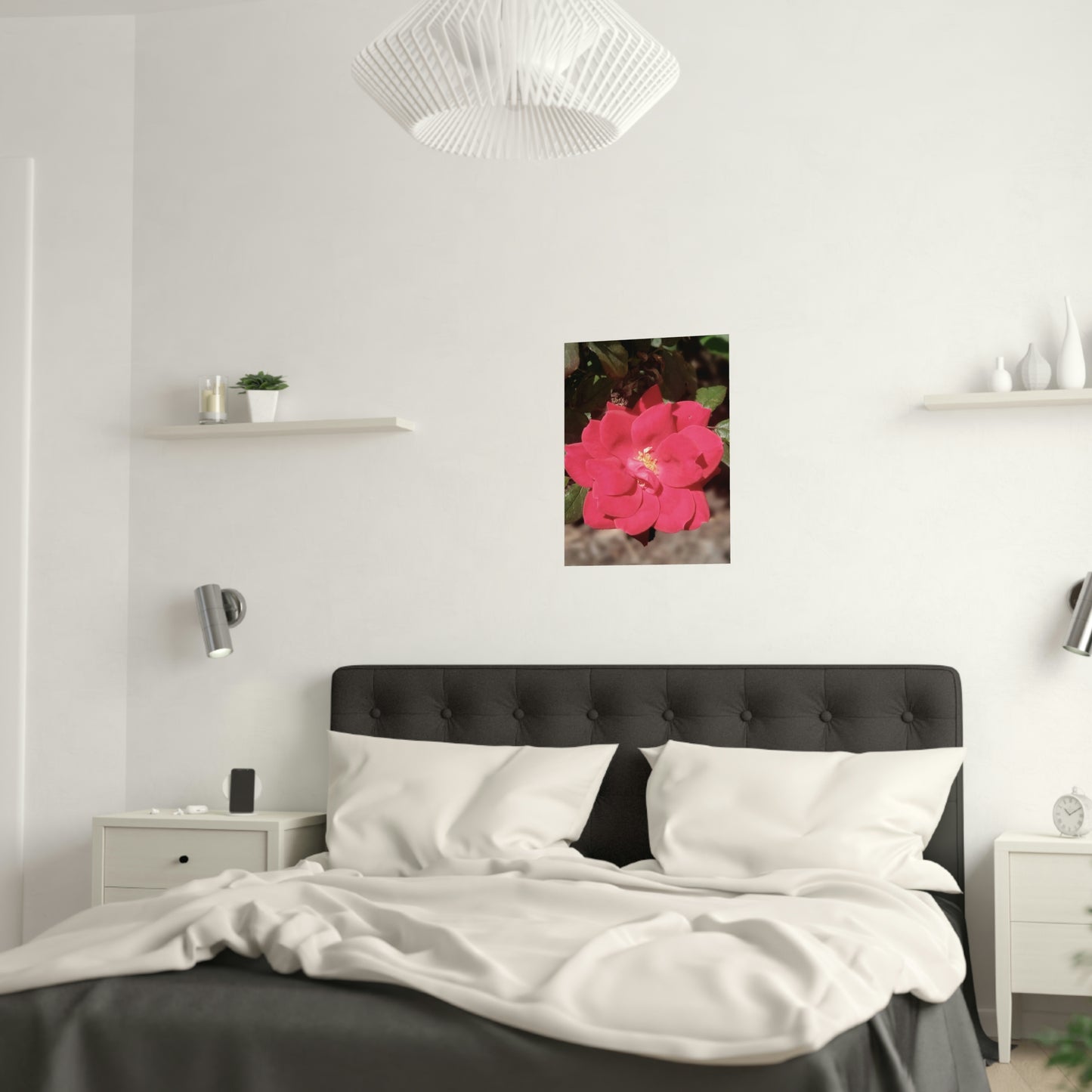 Knockout | Satin Posters (210gsm) | High Bloom Collection | Life By Ortavia