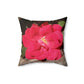 Knockout | Throw Pillow | High Bloom Collection | Life By Ortavia