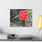Art Prints & Wall Art, Gallery Canvas with Peach Hibiscus Flower