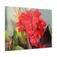 Red Canna | High Bloom Collection | Wall Art Print | Life By Ortavia