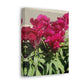 Magenta Snapdragon | Wall Art Canvas | High Bloom Collection | Life By Ortavia