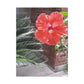 Art Prints & Wall Art, Gallery Canvas with Peach Hibiscus Flower
