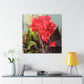 Red Canna | High Bloom Collection | Wall Art Print | Life By Ortavia