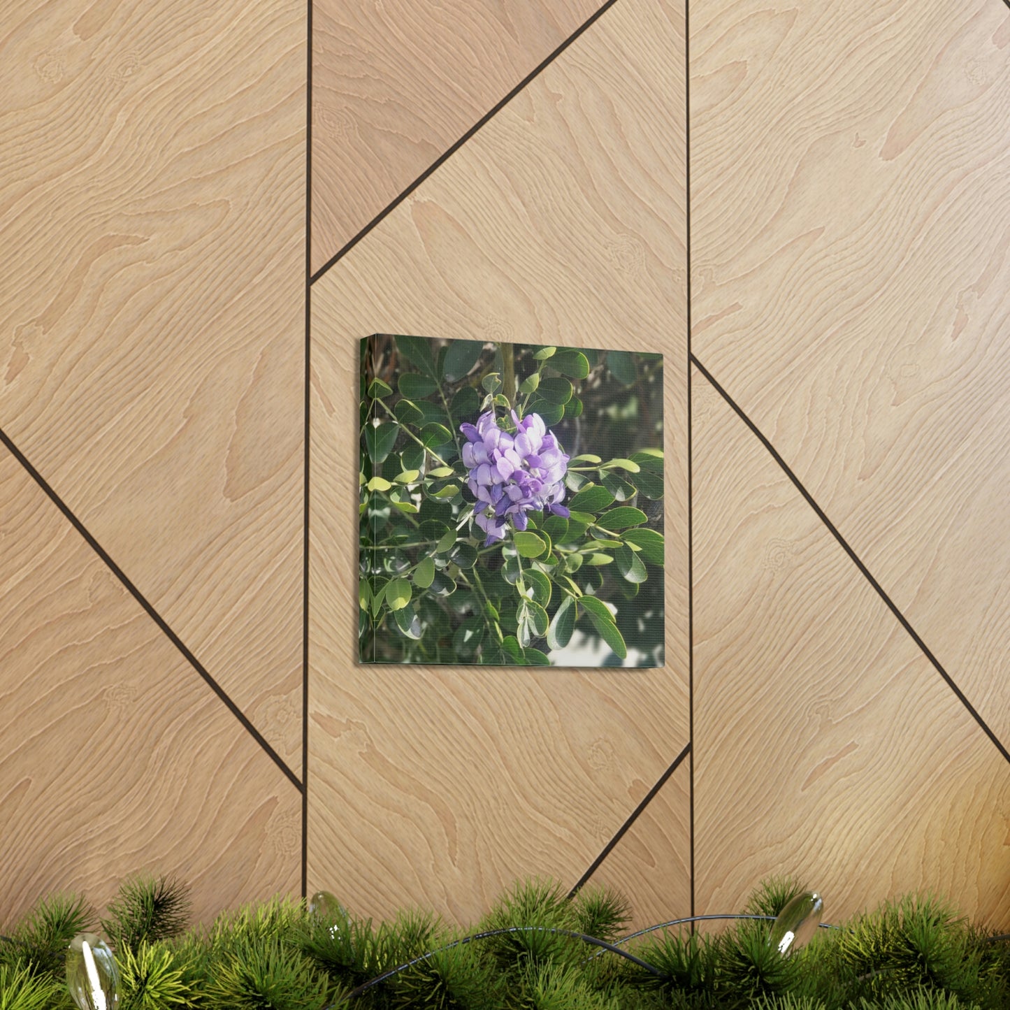 Purple Texas Mountain Laurel | Wall Art Canvas