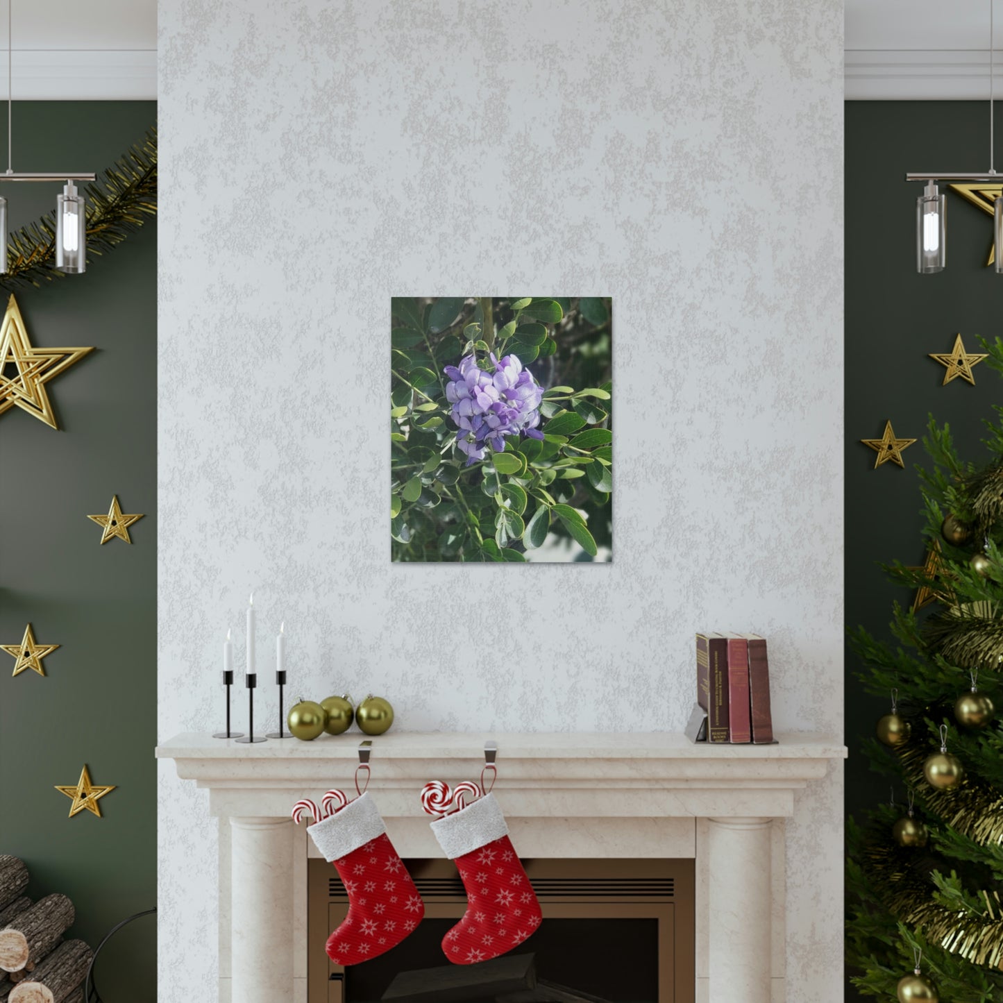 Purple Texas Mountain Laurel | Wall Art Canvas