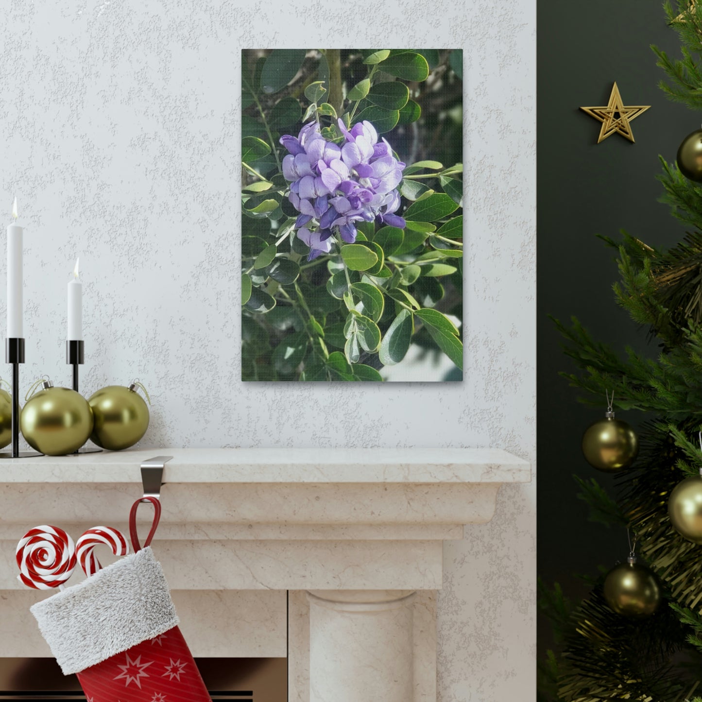 Purple Texas Mountain Laurel | Wall Art Canvas
