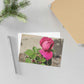 Dear Pink Rosa | Fine Art Postcards | 6'' x 4'' and 7'' x 5'' | High Bloom Collection | Life By Ortavia